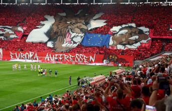 Because of the Fehervar game: UEFA fines 1. FC Köln