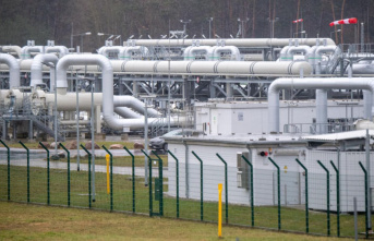 Controversial Baltic Sea gas pipeline: Nord Stream...