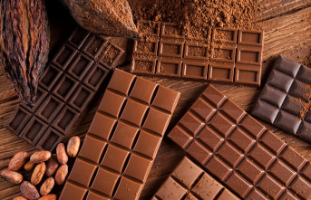 Sweet alternative: vegan chocolate made from plant-based...