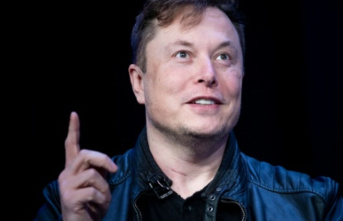 "The bird is free": Musk buys Twitter after...