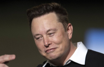 Elon Musk: The Tesla boss has taken over Twitter