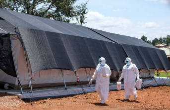 Infectious disease: Ebola infections in Uganda: travel...