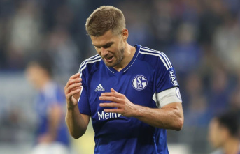 Schalke loses 0:3 against Hoffenheim: fan reactions...