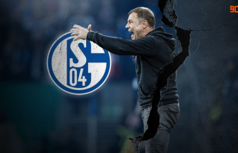 Official: Schalke 04 separates from coach Frank Kramer