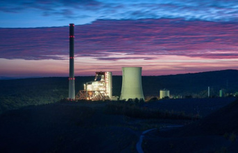 Saarland: Steag: Reserve coal-fired power plants will...