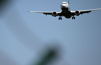 Air transport: Low-cost airlines ignore the German...