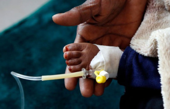 Infectious disease: almost three dozen cholera deaths...