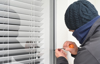 Security: Burglary protection for the windows: What...