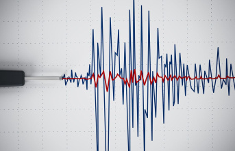 Baden-Württemberg: Noticeable earthquake south of...