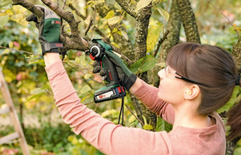 Offers in October: Bosch EasyCut mini chainsaw with...