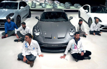 Wolfsburg: Scientists stick to Porsche and complain...