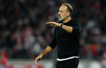 Does VfB Stuttgart regret Matarazzo's dismissal?