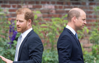 Prince William: Didn't Harry want to reconcile...