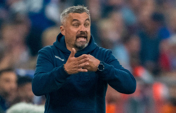 Bundesliga: Ex-Bochum coach Thomas Reis new coach...