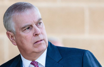 Prince Andrew: He reportedly almost only watches TV