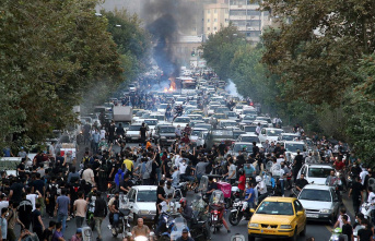Plant in Bushehr: Iran blames "certain country"...