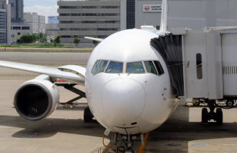 Air travel: Japanese airline wants to offer a flat...