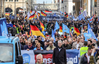 Protest march in Berlin: 10,000 AfD supporters demonstrate...