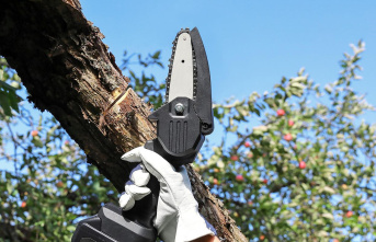 October Deals: Bosch Mini Chainsaw 40% off: Monday's...
