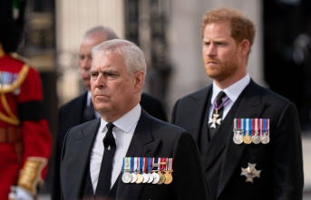 Prince Andrew and Prince Harry Debate: Will They Be...