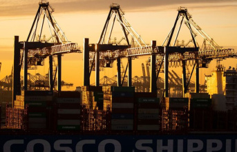 Cosco: Cabinet should decide on compromise in port...