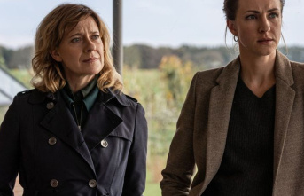 Ratings: ZDF thriller "Colleagues" is ahead