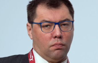 New Ukrainian ambassador: Melnyk's successor:...