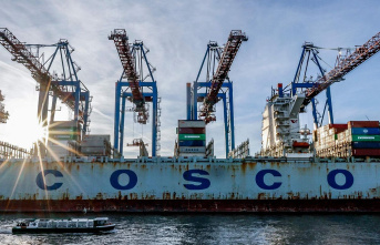 Cosco in Hamburg: What the disputed port deal with...