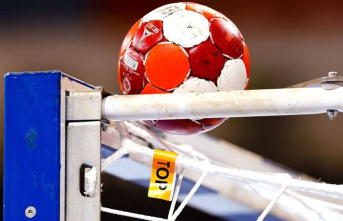 DHB Cup: Schwerin handball players look forward to...