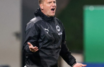 2nd Bundesliga: Greuther Fürth fires coach Schneider