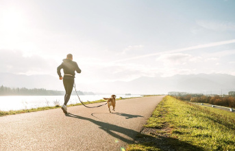 The perfect combination?: Jogging with a dog: What...