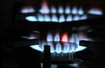 Energy crisis: EU Commission creates basis for gas...