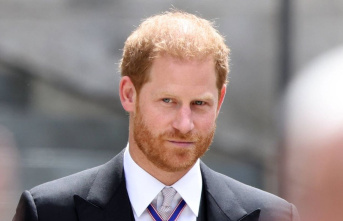 Prince Harry: His book will not be published until...