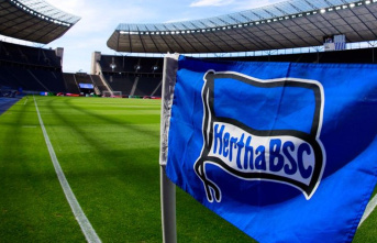 Bundesliga: Expert: Hertha and Windhorst "damned...