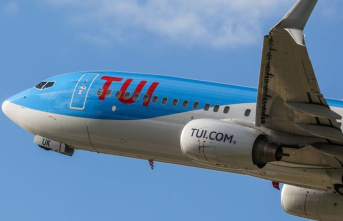 Aviation: Tui and Cepsa want to cooperate on sustainable...