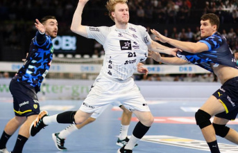 Handball Bundesliga: foxes handball players at the...
