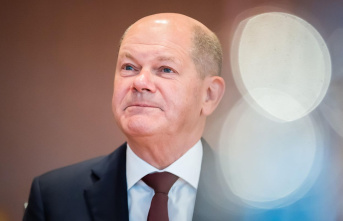 Cabinet gossip: For the record: Scholz' traffic...