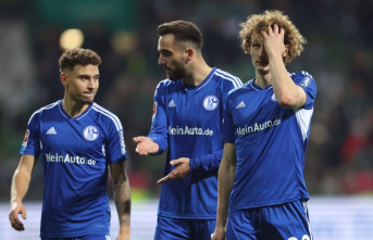 "Best performance of the season" by Schalke?...