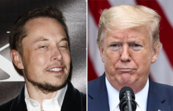 Elon Musk: Twitter vote on Trump's return