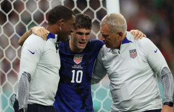 Christian Pulisic: World Cup star was still cheering...