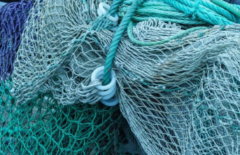 Fisheries: Environmentalists call for less fishing...
