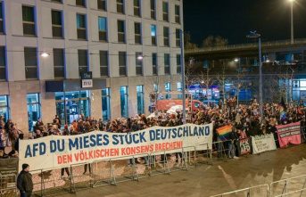 Demonstration: Alliance protests against AfD rally