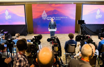 Summit in Bali: Criticism of the G20: "Again,...