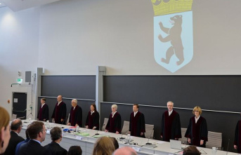 Justice: Berlin: Constitutional judges decide on repeat...