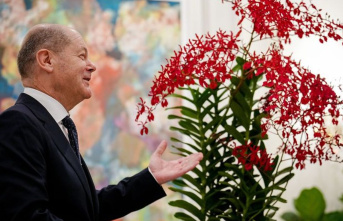 Nature: Orchid named after the Chancellor: "Renanthera...