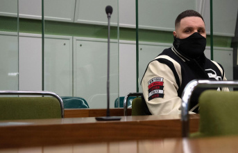 Berlin-Tiergarten District Court: Rapper Fler convicted...