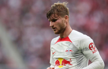 Werner misses the World Cup: Flick doesn't have...