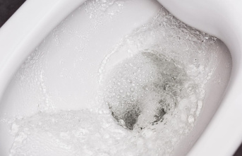 Wastewater potential: How toilet water turns into...