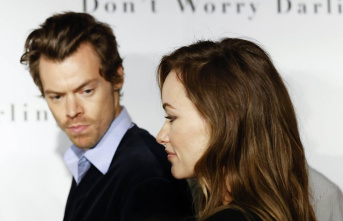 Harry Styles and Olivia Wilde: Have They Temporarily...