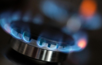 Energy crisis: Germany saves a lot of gas - but other...